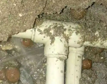 林口测漏水多少钱