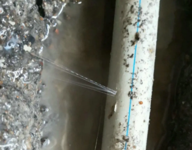 林口测漏水哪家好