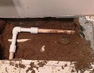 林口测漏水哪家好