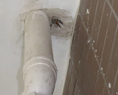 林口漏水检测哪家好